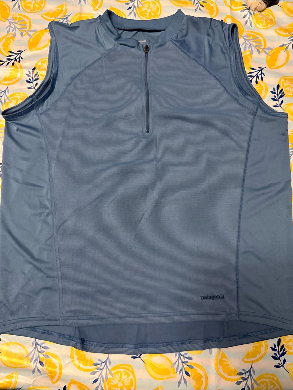 Patagonia Men’s Light Blue Sleeveless Zip-Front Performance Top